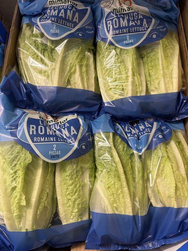 COEUR  DE  ROMAINE ESP