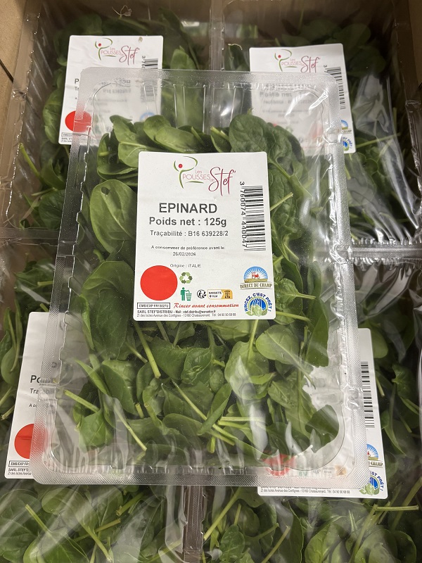 POUSSE EPINARD BARQUETTE 150G