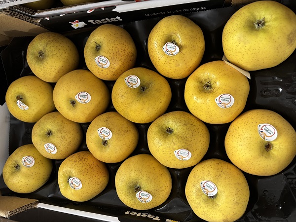 CHANTECLERC PLATEAU FRANCE