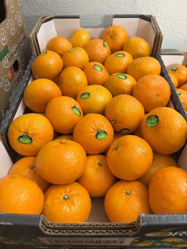 MANDARINE ORRI  ISRAEL