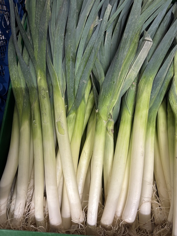 POIREAU  BALAYETTE  BELG