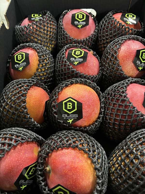 MANGUE  AVION   ISRAEL