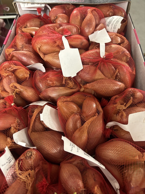 ECHALOTTE AGRAFE 250G *20