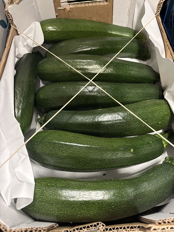 COURGETTE 5 KG ESP