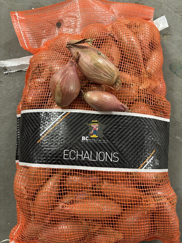 ECHALOTTE   VRAC  5 KG  FRA