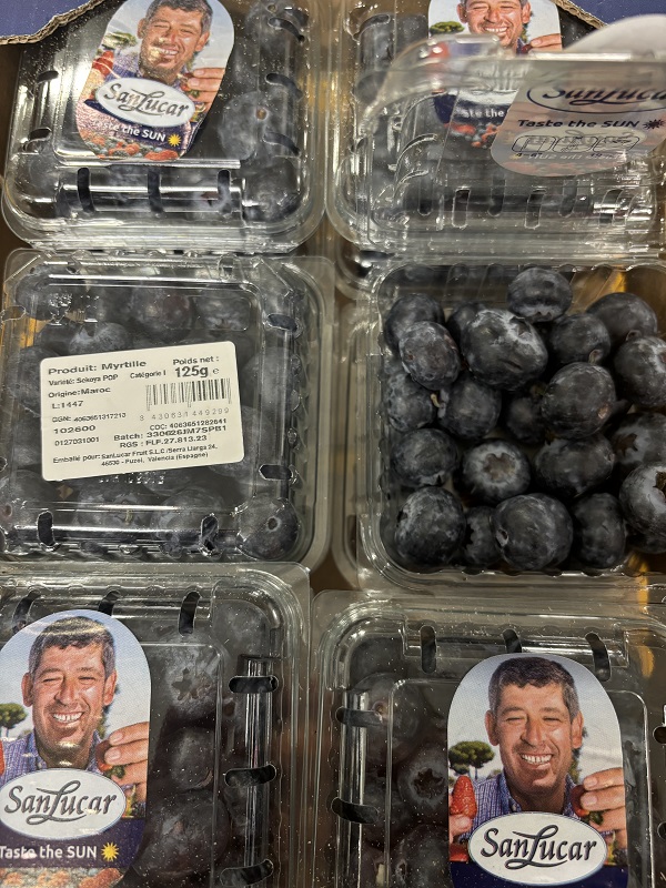 MYRTILLE  ARG.MAR.CHIL