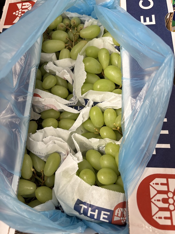 RAISIN  BLANC  SWEET GLOBE PEROU