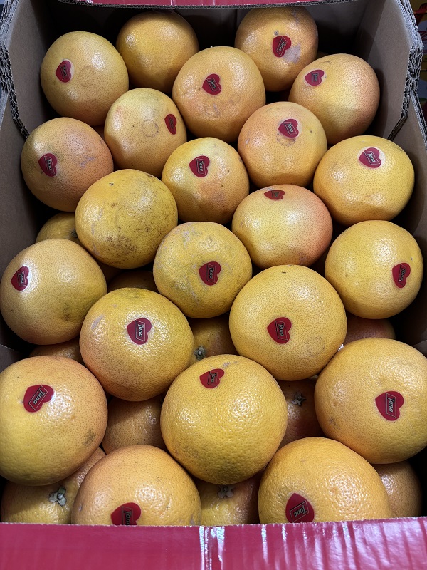 POMELOS  ISRAEL