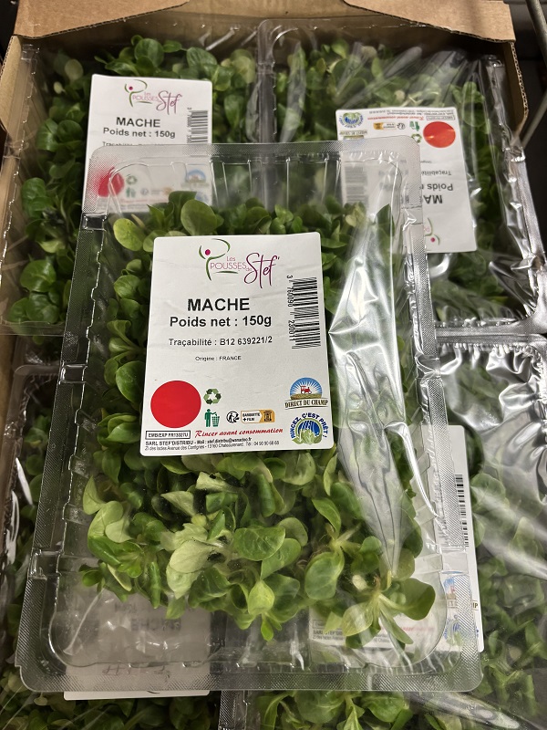 SALADE MACHE 8 X 150 G